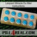 Léopard Miracle Du Miel Instructions new09